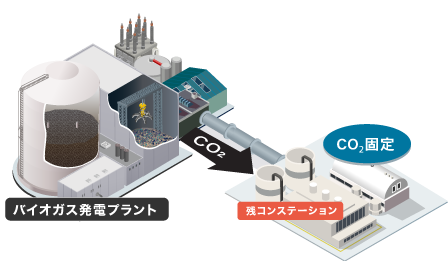 バイオマス発電所図